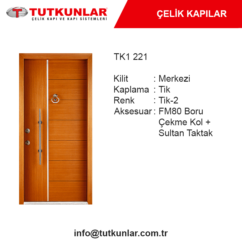 Çelik Kapı TK1 221