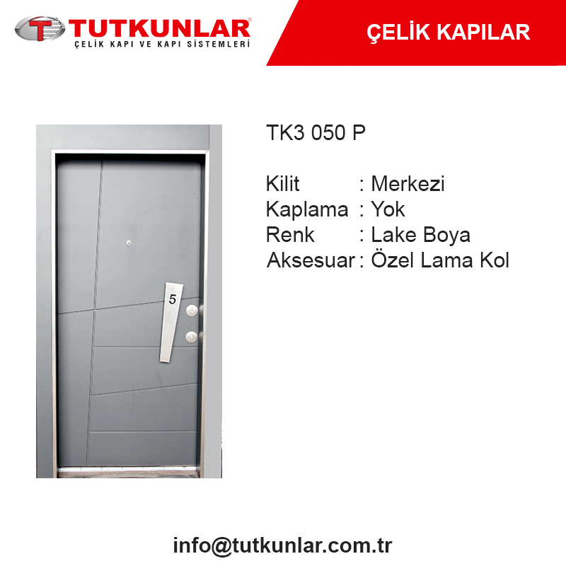 Çelik Kapı TK3 050 P