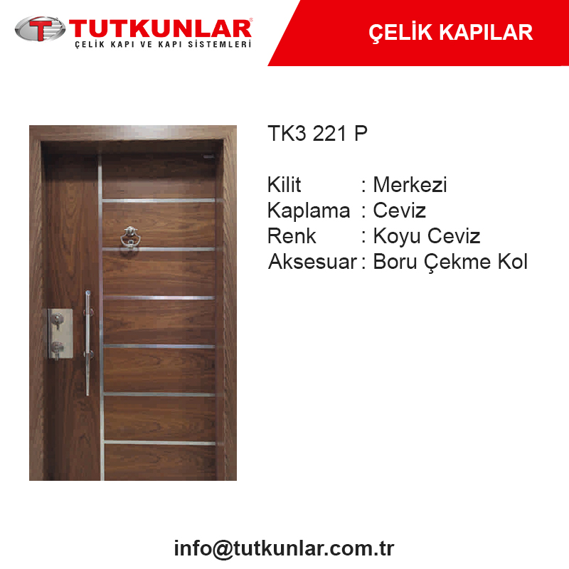 Çelik Kapı TK3 221 P