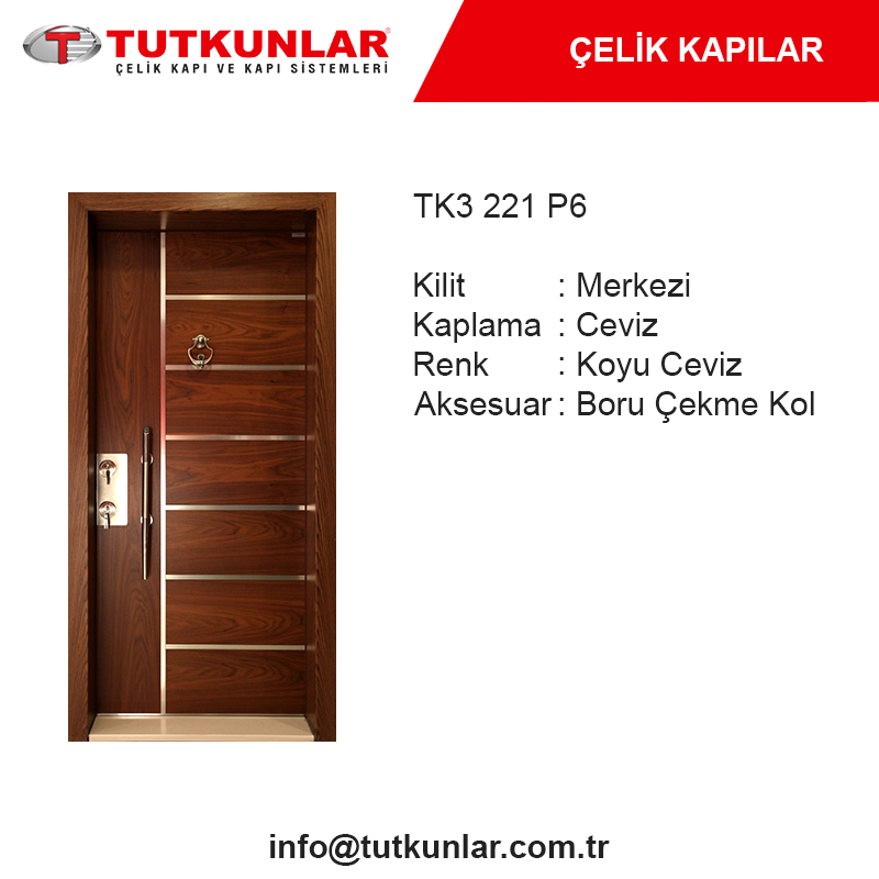 Çelik Kapı TK3 221 P6
